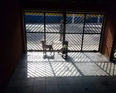 Casa com 4 Quartos à venda, 330m² no Jaguaré, São Paulo