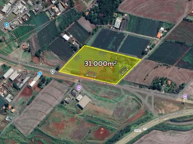 Fazenda/Sítio à venda, 31000m² no Centro, Marialva