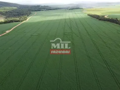 Fazenda/Sítio à venda, 500m² no Centro, São João D'Aliança