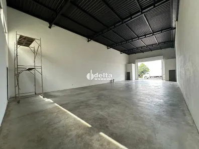 Ponto Comercial para alugar, 230m² no Shopping Park, Uberlândia