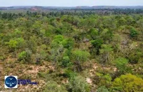 Lote/Terreno à venda, 10000m² no Setor Central, Mateiros