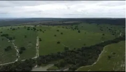 Fazenda/Sítio à venda, 2450000m² no , São Félix de Balsas
