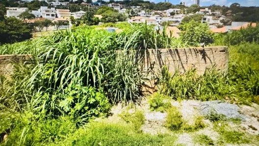 Lote/Terreno à venda, 1318m² no Jardim Carlos Gomes, Campinas