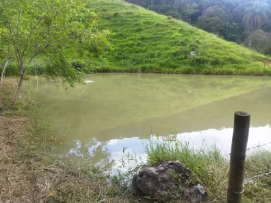Fazenda/Sítio com 3 Quartos à venda, 22000m² no , Bom Jesus do Amparo