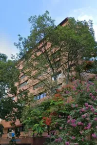 Apartamento com 1 Quarto à venda, 51m² no Três Figueiras, Porto Alegre