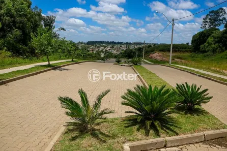 Lote/Terreno à venda, 240m² no Batuva, Sant'Ana do Livramento