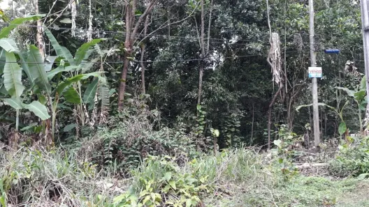 Lote/Terreno à venda, 5000m² no Centro (Sambaetiba), Itaboraí