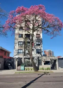 Apartamento com 1 Quarto à venda, 31m² no Juvevê, Curitiba