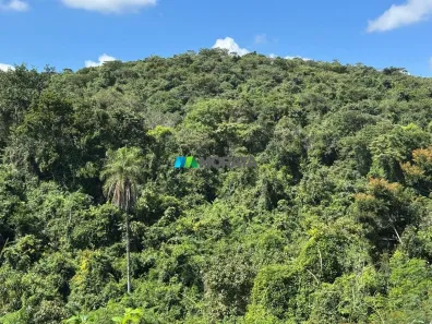 Fazenda/Sítio com 1 Quarto à venda, 115m² no , Onça de Pitangui