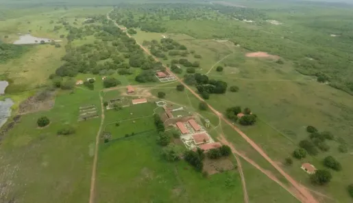 Fazenda/Sítio à venda, 713m² no , Trairi
