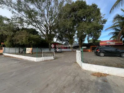 Ponto Comercial para alugar, 50m² no Campeche, Florianópolis