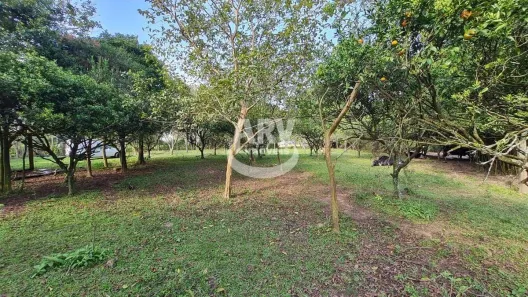 Fazenda/Sítio com 2 Quartos à venda, 80m² no Costa Verde (Ipiranga), Gravataí