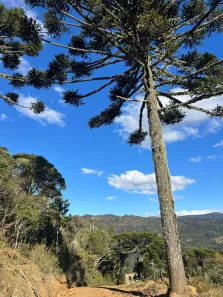 Lote/Terreno à venda, 20000m² no , Urubici