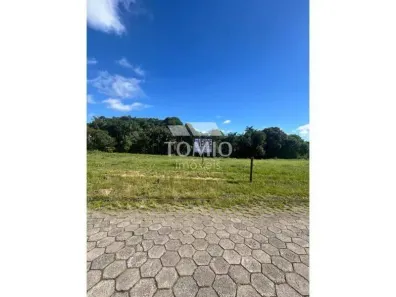 Lote/Terreno à venda, 503m² no Coloninha, Gaspar