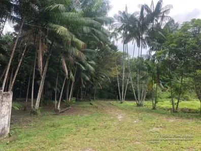 Fazenda/Sítio com 1 Quarto à venda, 100000m² no Benevides, Benevides