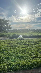 Lote/Terreno à venda, 250m² no Jardim dos Estados, Várzea Grande