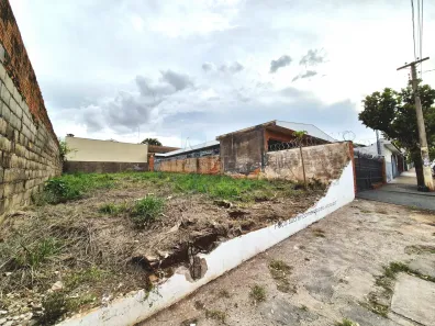 Lote/Terreno para alugar, 259m² no Vila Monte Alegre, Ribeirão Preto