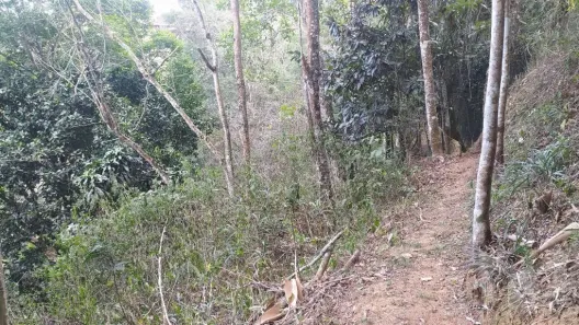 Lote/Terreno à venda, 1323m² no Itaipava, Petrópolis