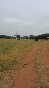 Fazenda/Sítio à venda, 2500m² no Área Rural de Neves Paulista, Neves Paulista