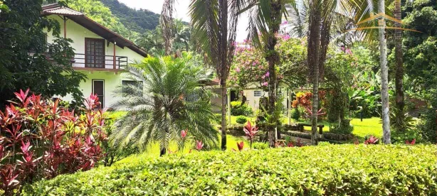 Fazenda/Sítio com 4 Quartos à venda, 600m² no Morretes, Morretes