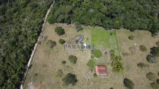 Fazenda/Sítio à venda, 156000m² no , Esplanada