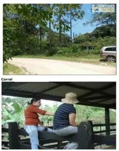 Fazenda/Sítio à venda, 173000m² no Santa Maria, Osasco