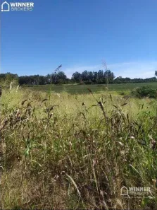 Fazenda/Sítio com 1 Quarto à venda, 2500m² no Distrito de Iguatemi (Iguatemi), Maringá