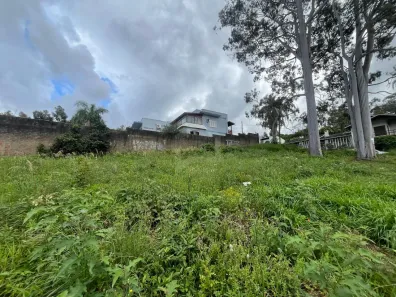 Lote/Terreno à venda, 884m² no Scharlau, São Leopoldo