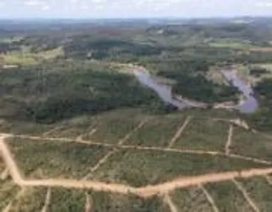 Lote/Terreno à venda, 20000m² no , Jaboticatubas