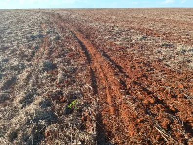Fazenda/Sítio com 3 Quartos à venda, 100m² no , Campo Alegre de Goiás