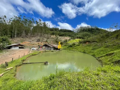 Fazenda/Sítio com 3 Quartos à venda, 72000m² no Ribeirão das Antas, Benedito Novo