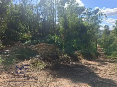 Lote/Terreno à venda, 60000m² no , Florestal