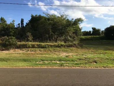 Lote/Terreno à venda, 840m² no Jardim Ninho Verde II, Pardinho