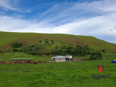 Fazenda/Sítio com 6 Quartos à venda, 82m² no Área Rural de Guaratinguetá, Guaratinguetá