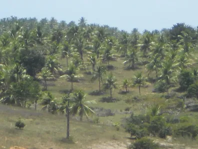 Fazenda/Sítio com 3 Quartos à venda, 2870000m² no Entre Rios, Entre Rios
