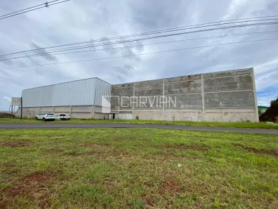 Galpão/Depósito/Armazém à venda, 12000m² no Distrito Empresarial Prefeito Luiz Roberto Jábali, Ribeirão Preto