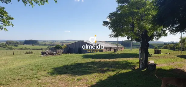 Fazenda/Sítio à venda, 90000m² no , Caçapava do Sul