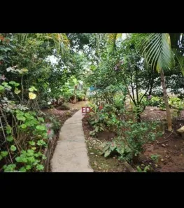 Fazenda/Sítio com 2 Quartos à venda, 60m² no Vila Favorino, Caçapava