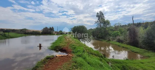 Fazenda/Sítio com 4 Quartos à venda, 42000m² no Centro, Cascavel