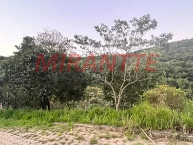 Lote/Terreno à venda, 1036m² no São Vicente, Mairiporã