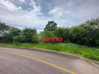 Lote/Terreno à venda, 551m² no Roçado, São José