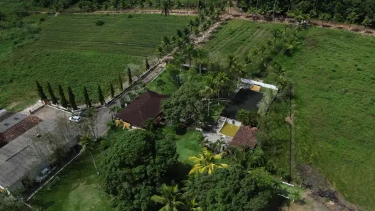 Fazenda/Sítio com 4 Quartos à venda, 700000m² no Distrito de Várzea Nova, Santa Rita