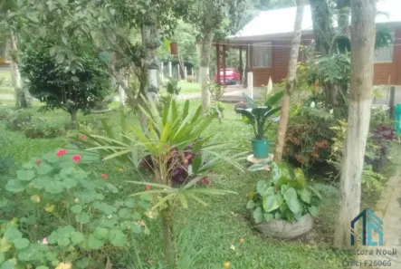Fazenda/Sítio com 4 Quartos à venda, 220m² no Área Rural de São José dos Pinhais, São José dos Pinhais
