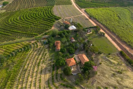 Fazenda/Sítio com 8 Quartos à venda, 85600m² no , Monte Alto