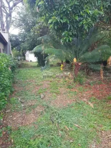 Fazenda/Sítio com 3 Quartos à venda, 628m² no Área Rural de Ibitinga, Ibitinga