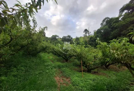 Galpão/Depósito/Armazém à venda, 26000m² no Champirra, Jundiaí