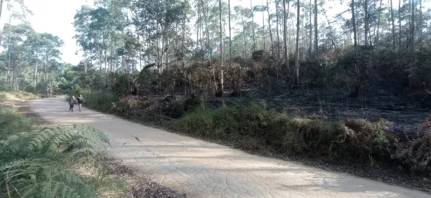 Fazenda/Sítio à venda, 220000m² no Terra Preta (Terra Preta), Mairiporã