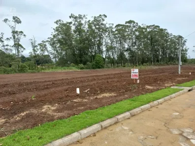 Lote/Terreno à venda, 367m² no São Defende, Criciúma