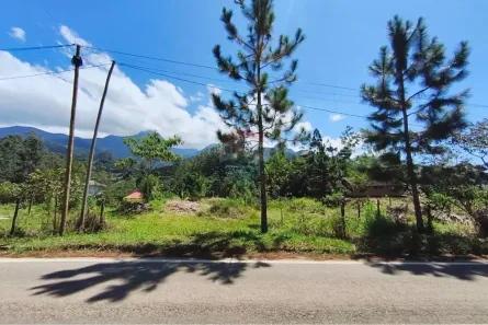 Fazenda/Sítio à venda, 3289m² no , Divino de São Lourenço