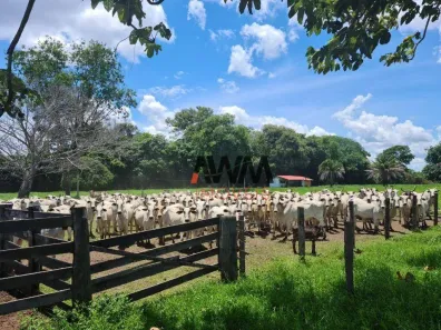 Fazenda/Sítio à venda, 5234944m² no , Cocalinho